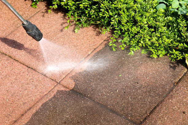 Professional Pressure Washing in Gonzales, TX